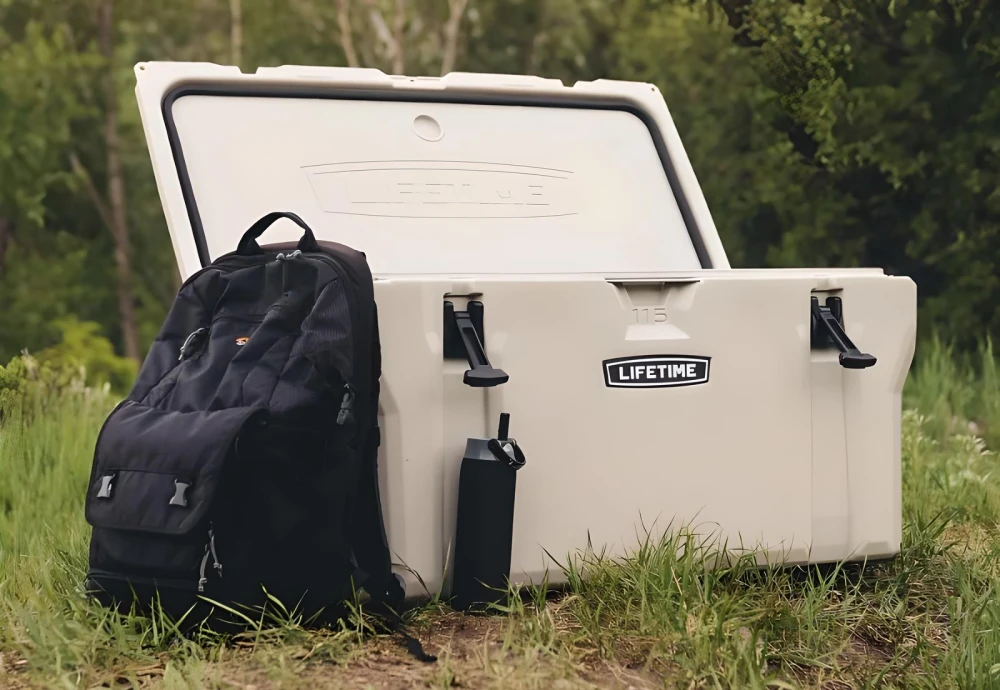 portable car cooler box