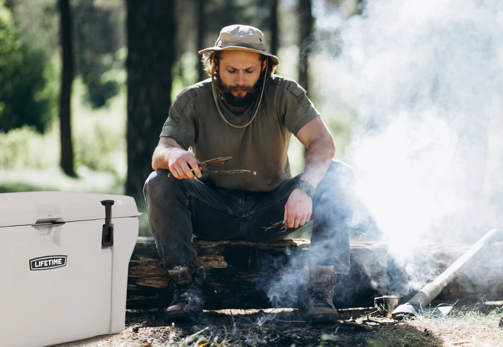 portable car cooler box